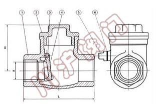 旋啟式內(nèi)螺紋止回閥結(jié)構(gòu)圖